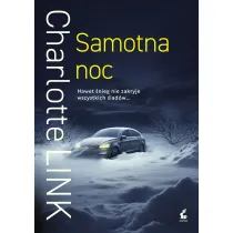 Samotna noc
