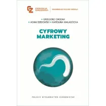 Cyfrowy marketing