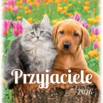 Kalendarz 2026 wieloplanszowy Przyjaciele
