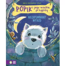 Niezapomniany wyjazd. Popik i jego wielkie przygody. Tom 6