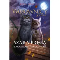 Zagubiony wojownik. Szara Pr�ga. Cz�� 1. Wojownicy. Manga. Tom 5