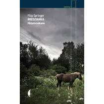 Miedzianka. Historia znikania