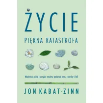 �ycie, pi�kna katastrofa. M�dro�ci� cia�a i umys�u mo�esz pokona� stres, choroby i b�l