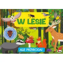 KSIAZECZKA EDUK 255X185 OPR TW W LESIE 3D AWM