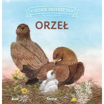Orze�. Dzikie zwierz�ta w naturze
