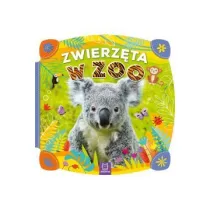 Zwierz�ta w zoo