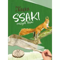 Ssaki naszych lasw. Zeszyt z kalk