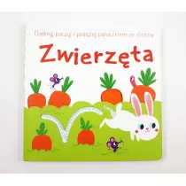 Dotknij, poczuj i pod��aj po �ladzie. Zwierz�ta