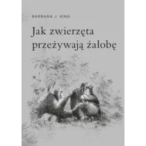 Jak zwierz�ta prze�ywaj� �a�ob�