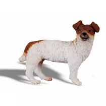 Pies Jack Russell Terier