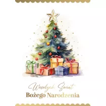 Armin Style Karnet Bo�e Narodzenie