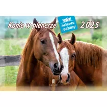 Lucrum Kalendarz 2025 Rodzinny Konie w plenerze