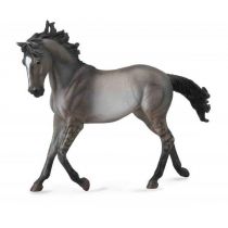 Koń Mustang Mare-Grulla