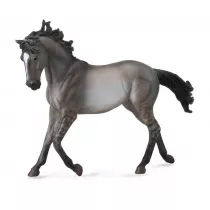Ko Mustang Mare-Grulla