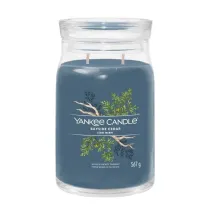Yankee Candle wieca zapachowa Bayside Cedar 567 g