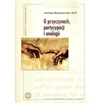 O przyczynach, partycypacji i analogii