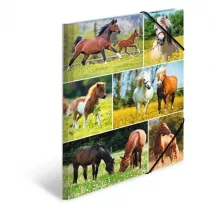 Herma Teczka A4 gumki narone - Konie na ce