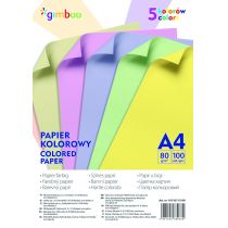 Papier kolorowy A4 5 kolorów pastelowych 80 g/m2 100 kartek