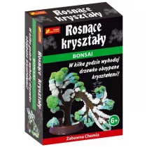 Rosnce krysztay. Bonsai Ranok-Creative