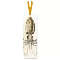 Museums & Galleries Zakadka do ksiki Squid