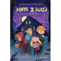 Tajemnica domu nad jeziorem. Banda z Burej. Tom 5