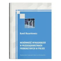 Nier�wno�� wynagrodze� w przedsi�biorstwach..