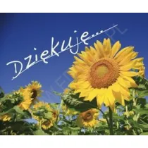 Dzi�kuj�. Pere�ka