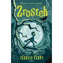 Zrostek