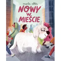 Nowy w miecie