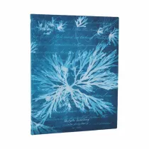 Anna Atkins` Cyanotypes Notatnik Sea Flowers ultra linia