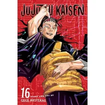 Jujutsu Kaisen. Vol. 16