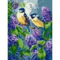 Ideyka Malowanie po numerach - Wiosenny duet 30x40cm