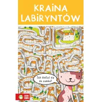 Kraina labiryntw