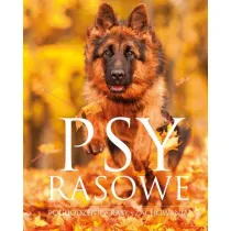 Psy rasowe