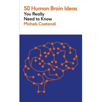 50 Human Brain Ideas You Really Need to Know wer. angielska