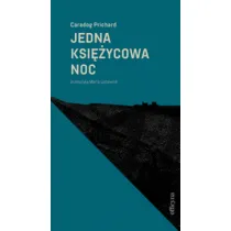 Jedna ksi�ycowa noc