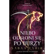 Niebo ods�oni si� po burzy