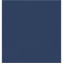 Canson Karton Iris A3 185g granatowy 42.0 x 30.0 cm