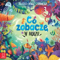 Co zobacz w morzu. Ogldaj, wska, zapamitaj