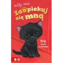 Zaopiekuj si mn. Arlo, kociak w potrzebie