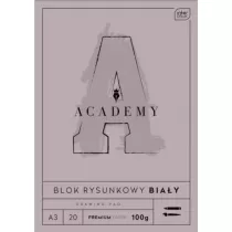 Interdruk Blok rysunkowy A3 Academy 100g 20 kartek