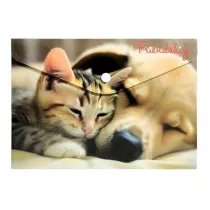 Panta Plast Koperta A5 PP na nap� z nadrukiem Friendship