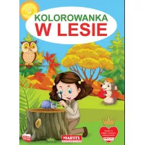 Kolorowanka. W lesie