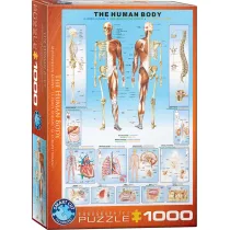 Puzzle 1000 el. The Human Body Eurographics
