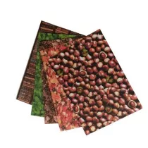 Galeria Hobby Karton Natura 300g, 24x34cm, 5 arkuszy