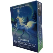 Wyrocznia Jednorocw, karty
