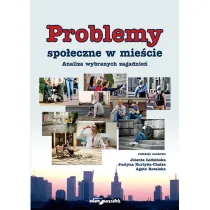 Problemy spo�eczne w mie�cie