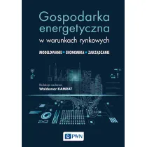Gospodarka energetyczna w warunkach rynkowych. Modelowanie, ekonomika i zarz�dzanie