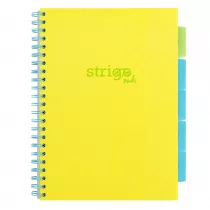 Koozeszyt Strigo A4 Project Book Neon ty w kratk