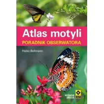 Atlas motyli